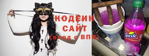 гашик Алексеевка