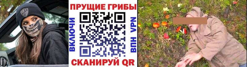 Галлюциногенные грибы Psilocybine cubensis  Королёв 